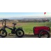 Trailer fat 2 wheels