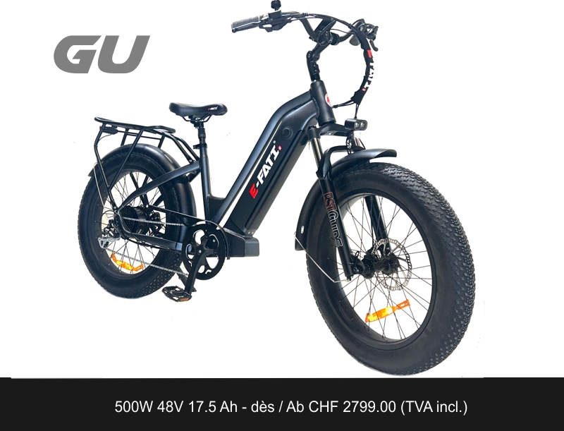 E-FATI GU 48V 20AH 960WH