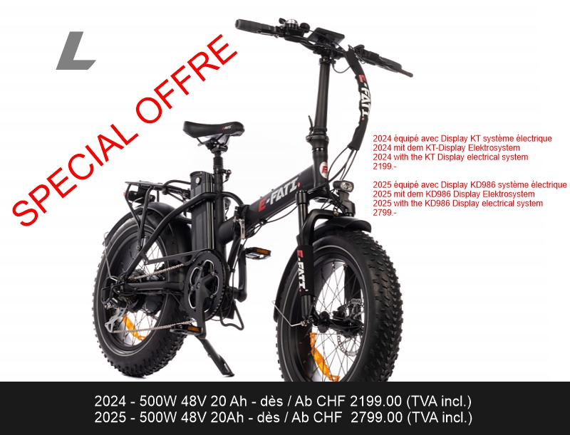 E-FATI 48V 20AH 960WH