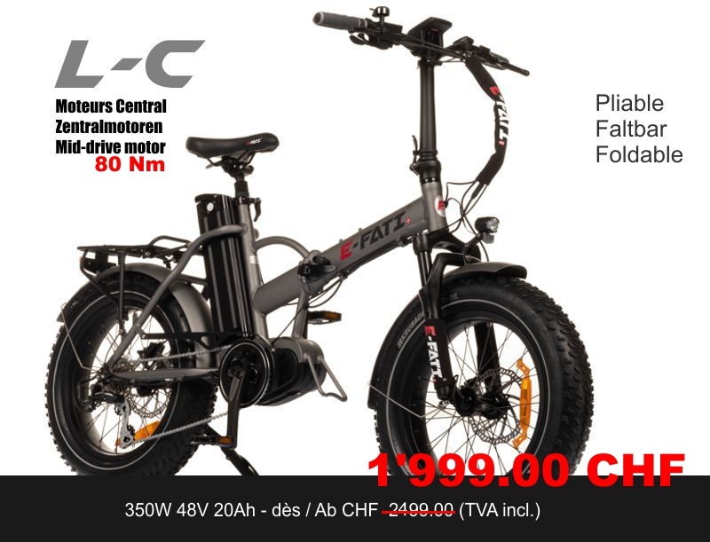 E-FATI L-C Velo Pliable 48V 20AH 960WH moteur-central