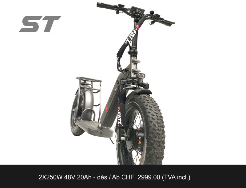 E-FATI ST 48V 20AH 960WH