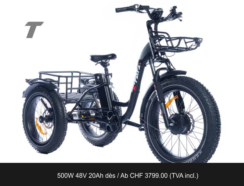 E-FATI T 48V 20AH 960WH Tricycle